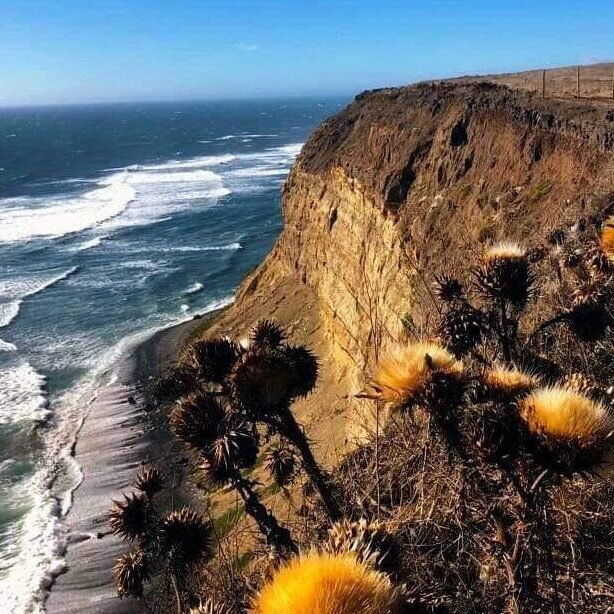 WhatsApp Image 2025-01-28 at 15.35.54